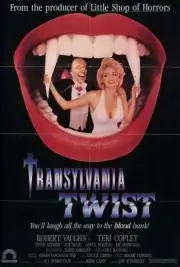 Поворот на Трансильванию (1989)